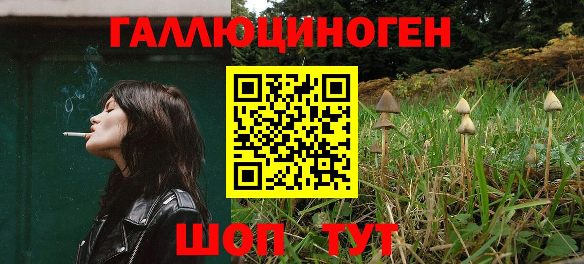Галлюциногенные грибы Cubensis  Галлюциногенные грибы Cubensis  Вход с VPN  Таганрог 